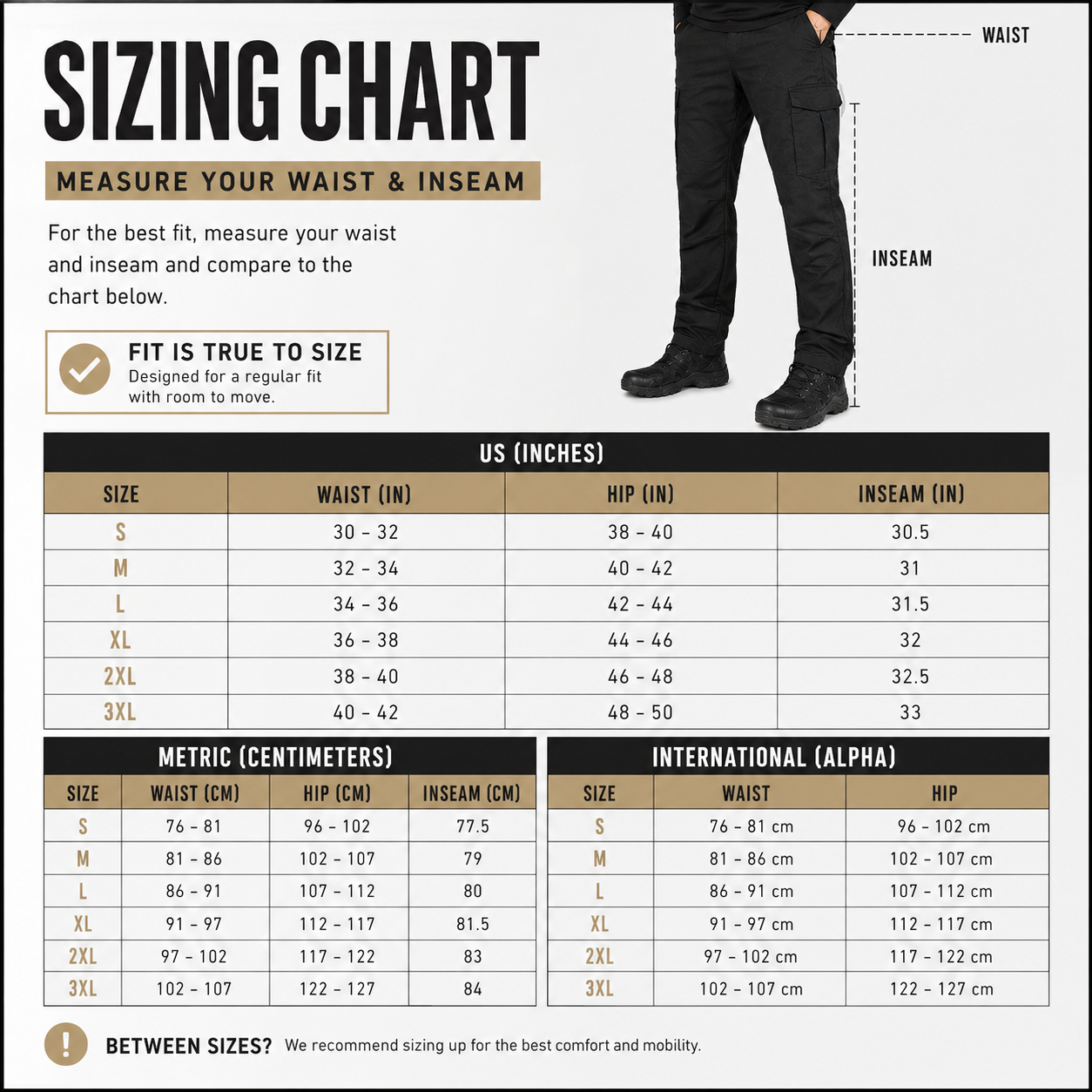 Longhorn Utility Pants